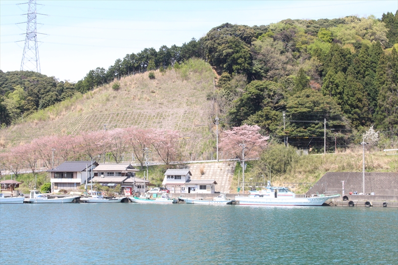 井本渡船(イモト渡船)・恵安丸