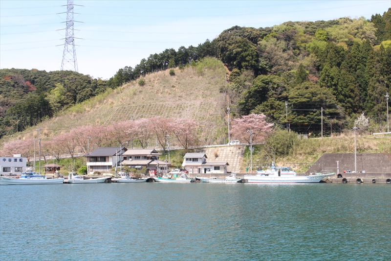 ご利用のお客様に